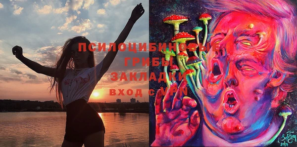 кокс Абаза