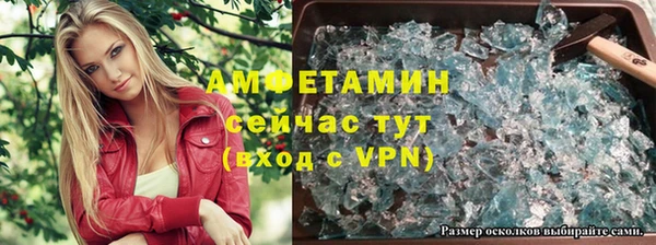 прущие грибы Абдулино