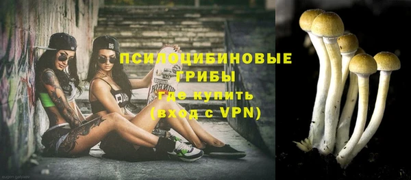 прущие грибы Абдулино